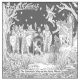 Great Mercenary Membuka Gerbang Kerajaan Fantasi Lewat The Ethereal Glow of the Fairy Woods